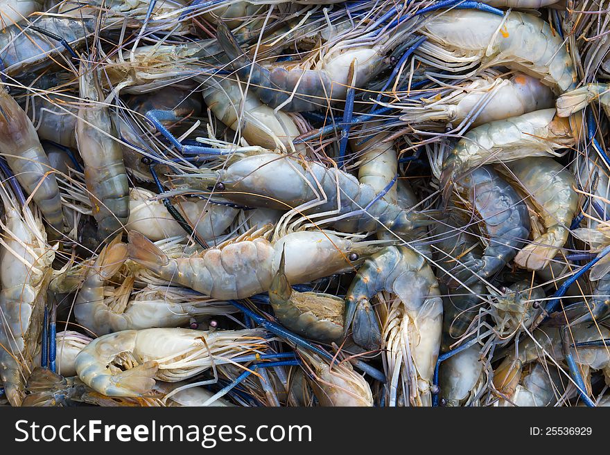 Fresh prawn on the market in Thailand .