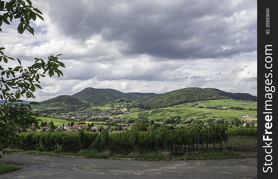 Palatinate Wine Country