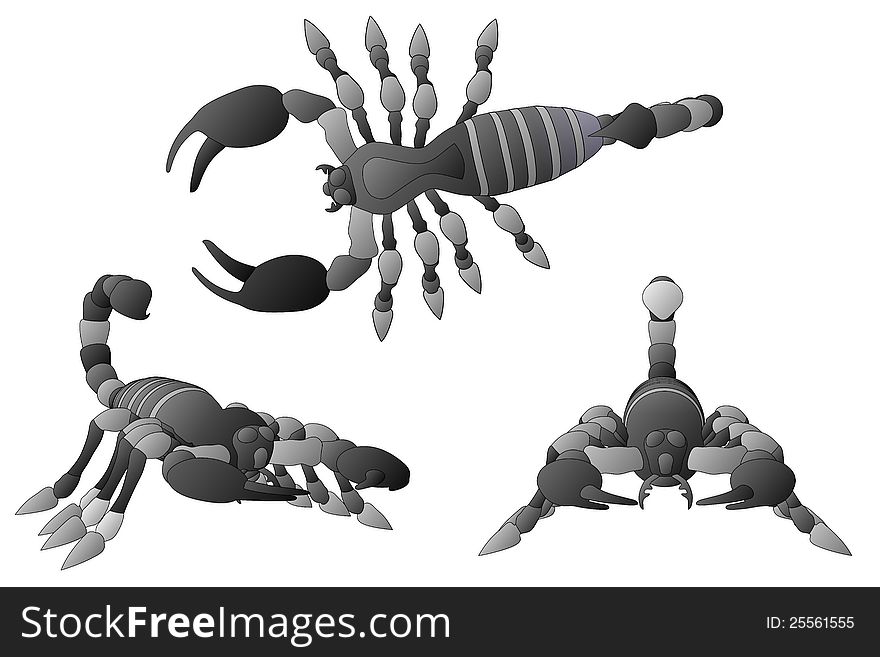 Scorpions (3 views - front, top and 3/4)