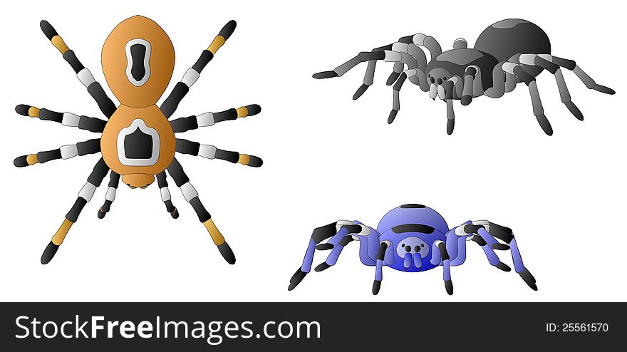 Spiders (3 colors - 3 views - Top, Front and 3/4)
