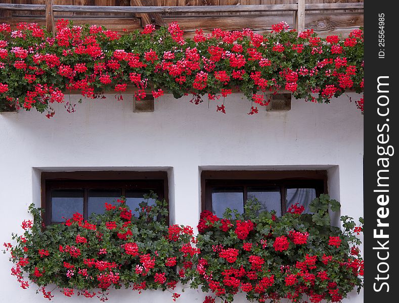 Windows of the house with bright red flowers. Windows of the house with bright red flowers