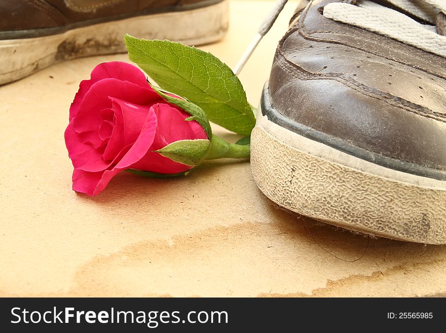 Shoe trample rose; love and heartbroken concept