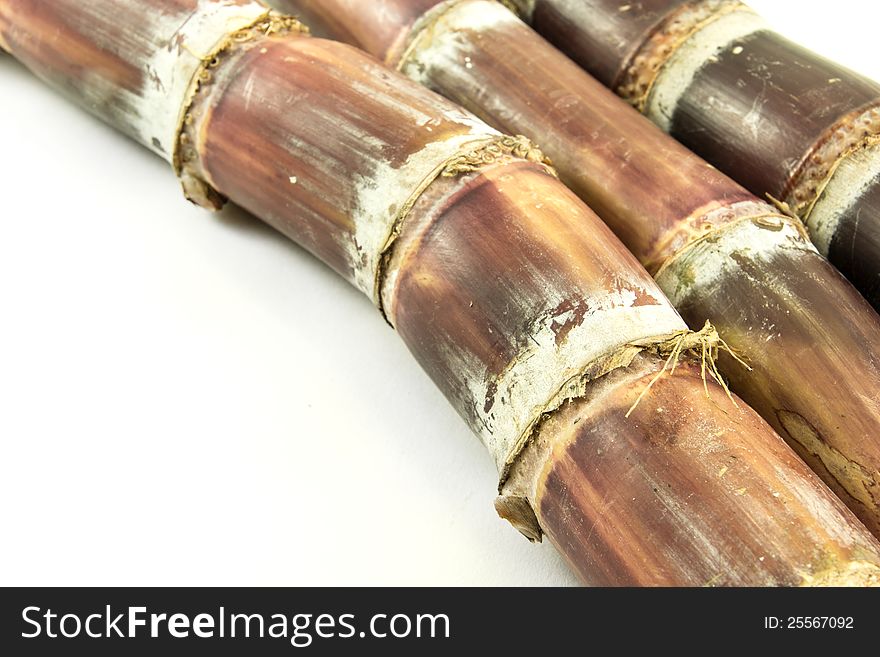 Sugar cane with white background