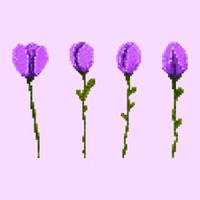 4 Purple Tulips Icons S Stock Images