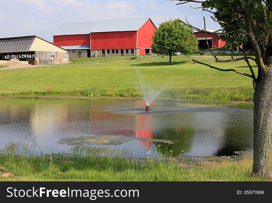 Bright red barns