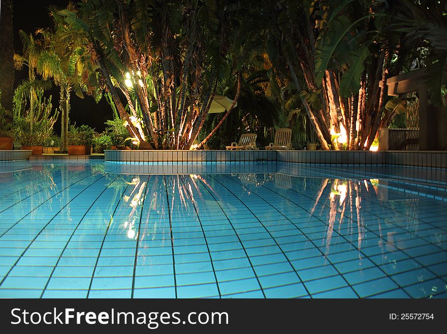 Pool and palm trees at night. Pool and palm trees at night