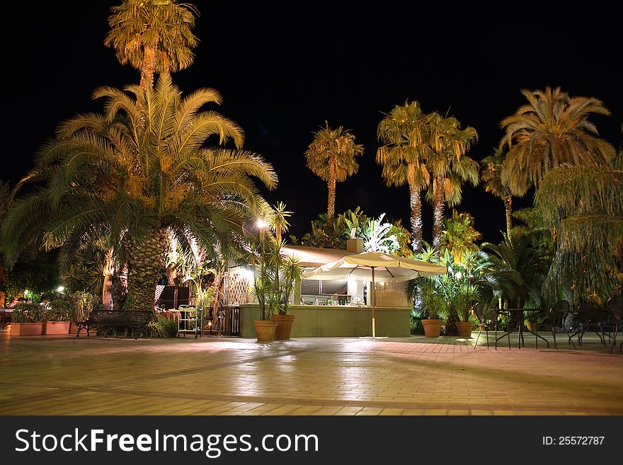 Terrace and palm trees at night. Terrace and palm trees at night