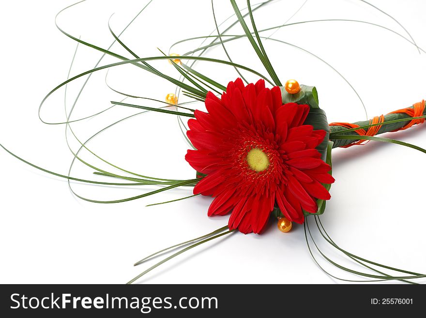 Arranging flowers on a white background.
