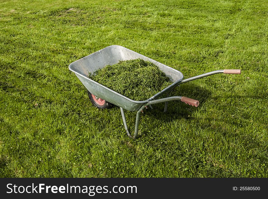 Wheelbarrow with a grass at summer garden