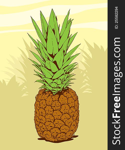 Pineapple