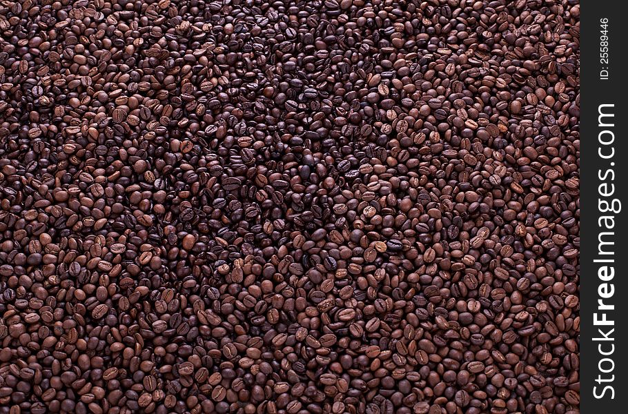 Coffee beans full frame many beans. Coffee beans full frame many beans