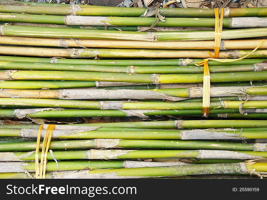 THE BUNDLE INCLUDES A BUNCH OF GREEN BAMBOO. THE BUNDLE INCLUDES A BUNCH OF GREEN BAMBOO
