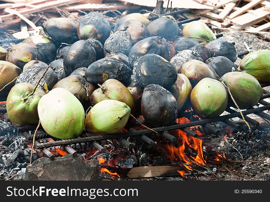 COCONUTS IS BRUNT ON A BONFIRE. COCONUTS IS BRUNT ON A BONFIRE