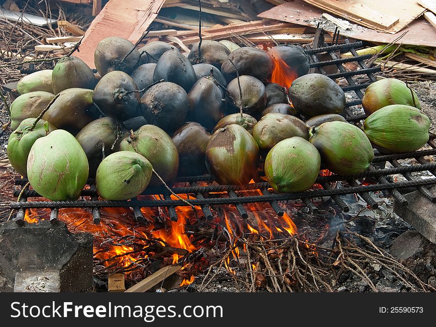 COCONUTS BURNED ON A BONFIRE. COCONUTS BURNED ON A BONFIRE