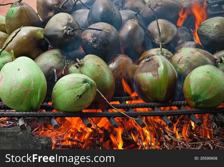 COCONUTS BURNED ON A BONFIRE. COCONUTS BURNED ON A BONFIRE