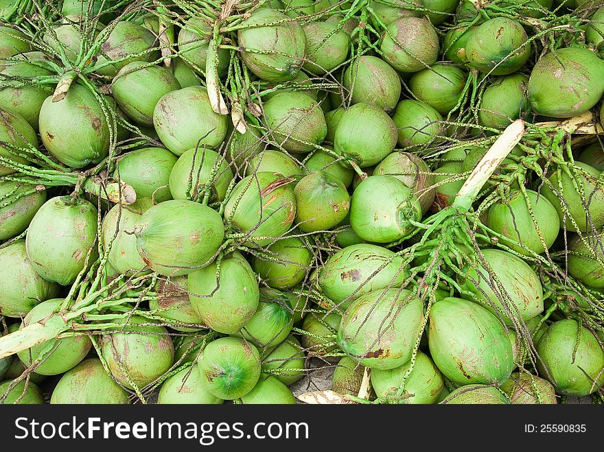 PILE OF FRESH COCONUTS FROM PLANTATION