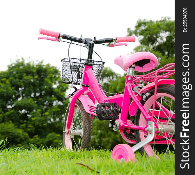 Pink bicycle in the park.