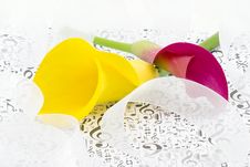 Calla Lilies And Ribbons Royalty Free Stock Images Calla Lilies And Ribbons Royalty Free Stock Images