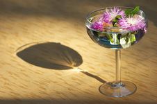 Flower Heads Sunken In Water Royalty Free Stock Images Flower Heads Sunken In Water Royalty Free Stock Images