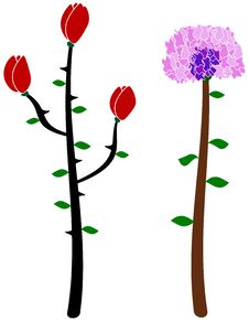 Vector Rose And Carnation Royalty Free Stock Image Vector Rose And Carnation Royalty Free Stock Image