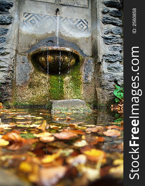 Water well in the forest with many colour leaves