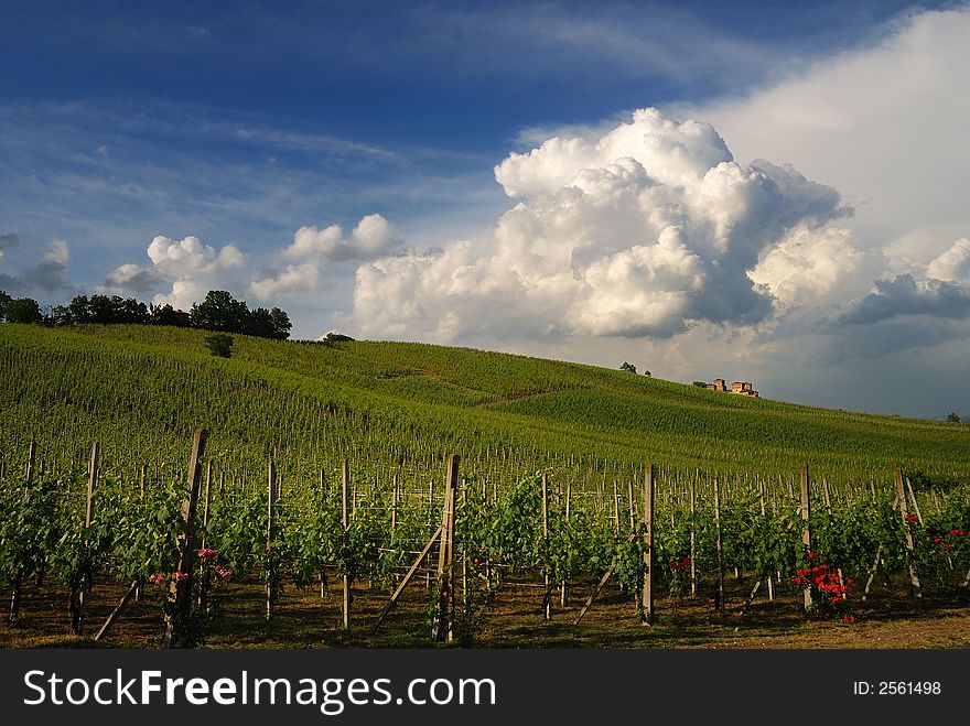 The Torrechiara's castle under a group of clouds.In the foreground a vineyard. The Torrechiara's castle under a group of clouds.In the foreground a vineyard.