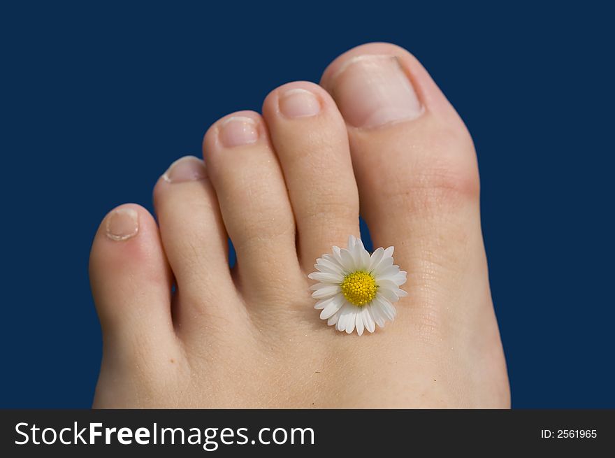Summer feet with a flower. Summer feet with a flower
