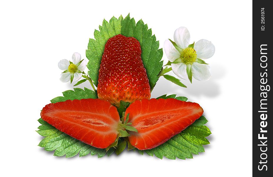 Strawberries trefoil isolated on white background