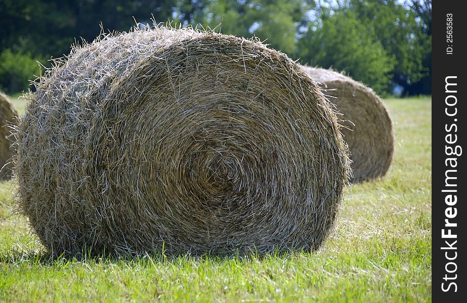 A freshly cut bale of hay dries in the warm summer sun. A freshly cut bale of hay dries in the warm summer sun