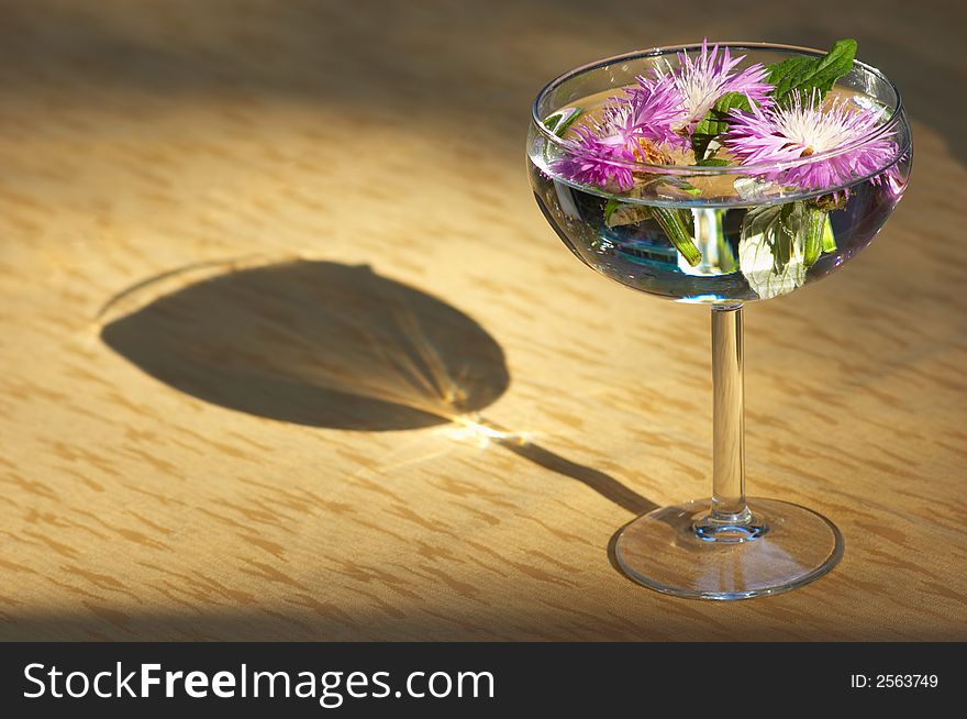 Flower Heads Sunken In Water