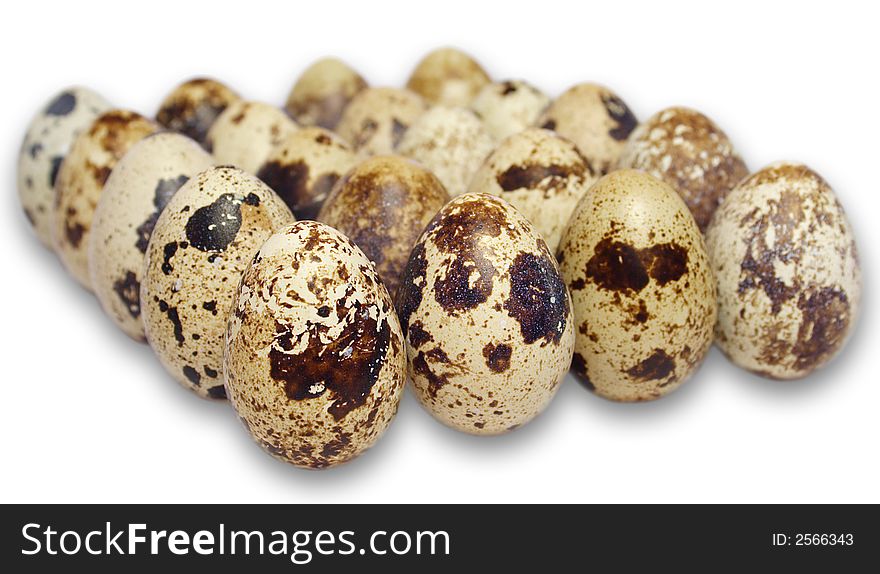 Quail eggs isolated objects over the white background