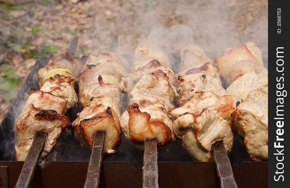 Roast meat. Picnic at the forest.