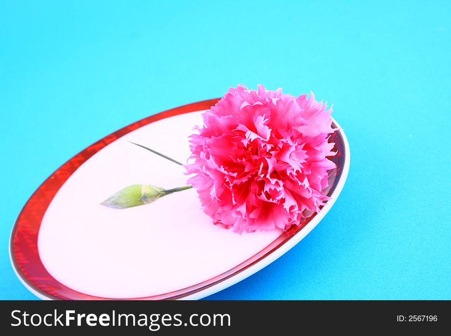 Body cream with flower petals on white towel, closeup. Body cream with flower petals on white towel, closeup