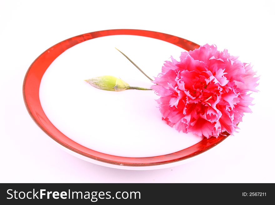 Body cream with flower petals on white towel, closeup. Body cream with flower petals on white towel, closeup