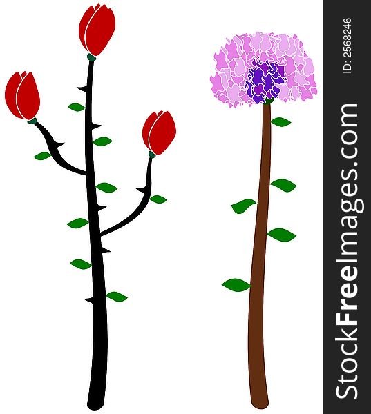 Vector Rose And Carnation