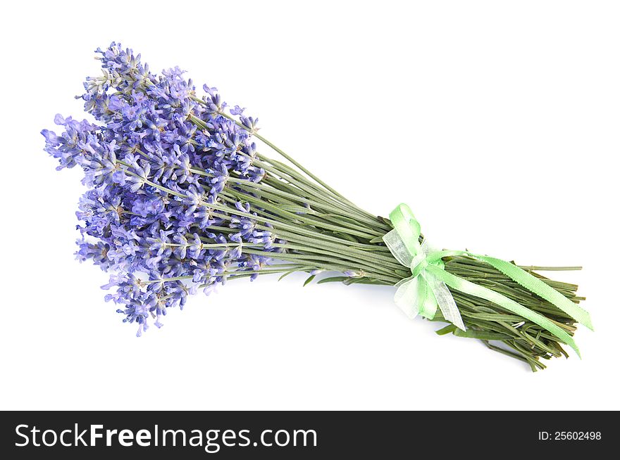 Bunch of lavender flowers  on  a white background