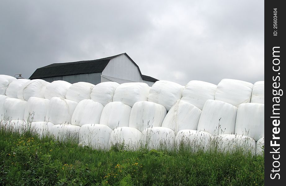 Pile of grass bale on a farmland