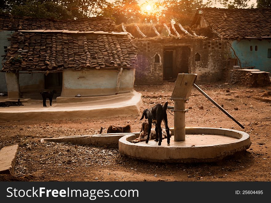 Old dried water hand-pump in summer and animals around them. Old dried water hand-pump in summer and animals around them