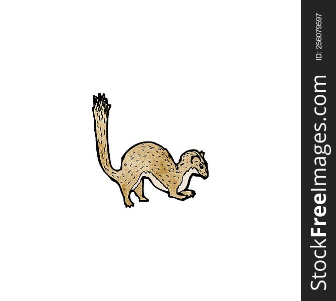 weasel illustration