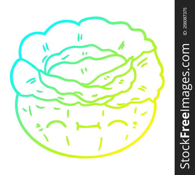 cold gradient line drawing of a cartoon cabbage