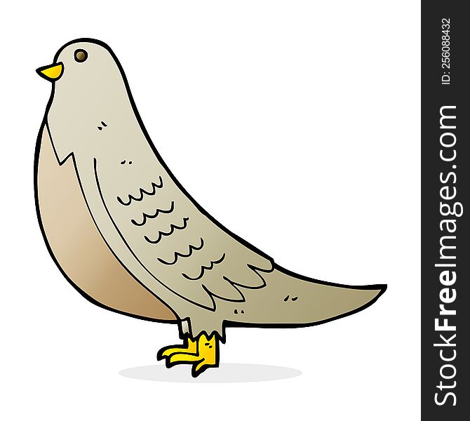 Cartoon Common Bird