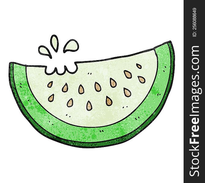 Textured Cartoon Melon Slice