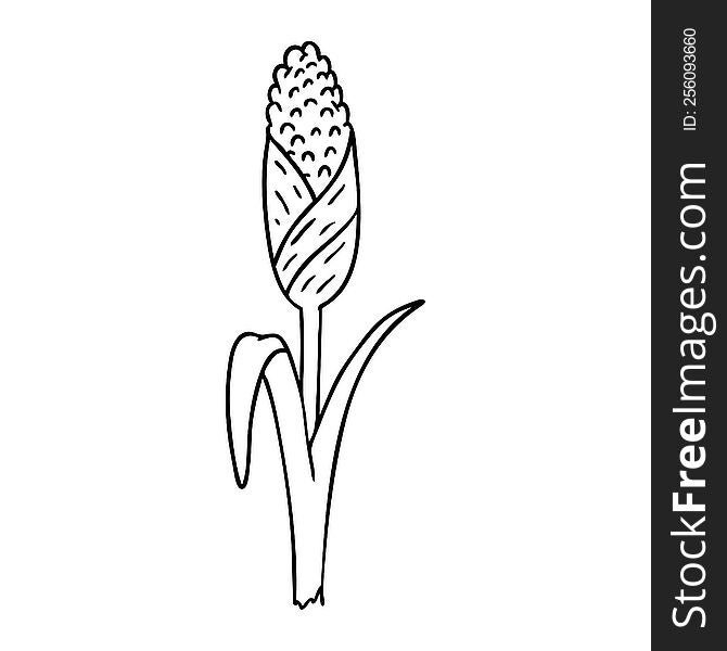 Line Drawing Doodle Of Fresh Corn On The Cob