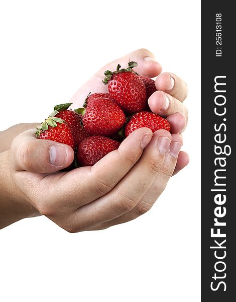 strawberries in hand on white background