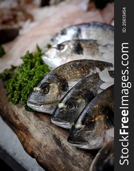 Close-up of fishes on a counter at the food market.