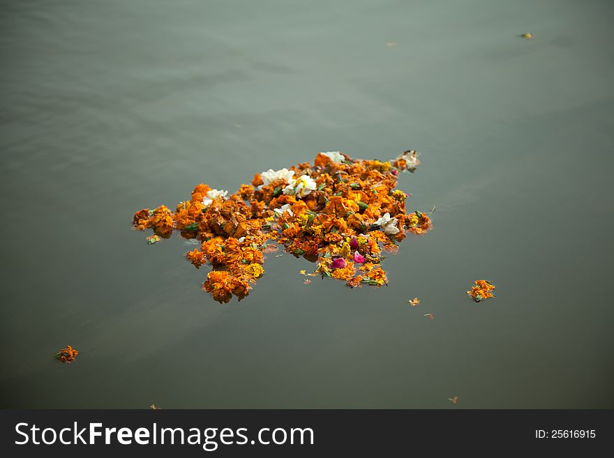 Floating flowers after performing prayer in river ganga. Floating flowers after performing prayer in river ganga