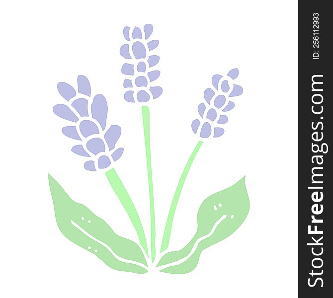 flat color illustration cartoon lavender