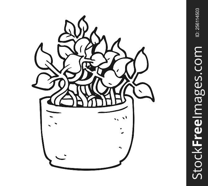 freehand drawn black and white cartoon house plant