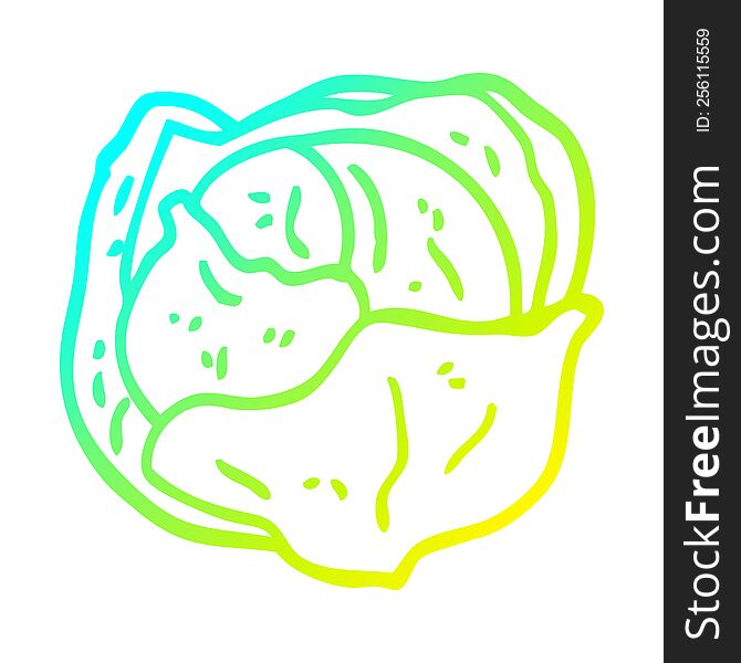 Cold Gradient Line Drawing Cartoon Cabbage