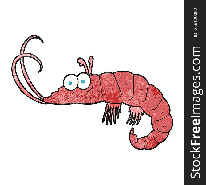 freehand textured cartoon shrimp